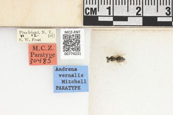 Media type: image;   Entomology 774231 Aspect: Labels